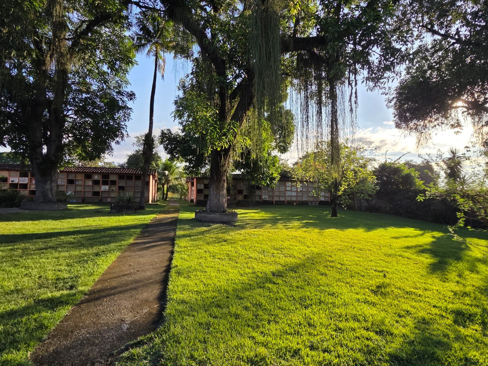 Jardim memorial com gramado verde, árvores antigas e nichos de homenagem aos pets