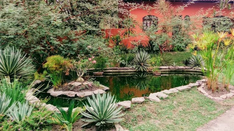 Jardim com plantas ornamentais e lago em frente à construção do memorial